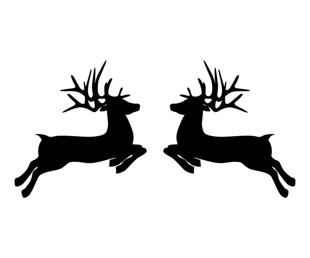 两只驯鹿在白色的背景上互相跳着过圣诞节图片下载