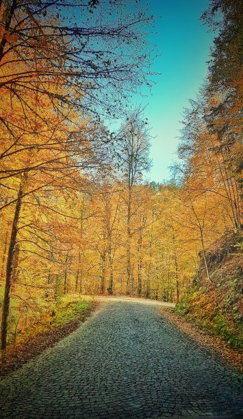 yedigoller的秋天图片下载