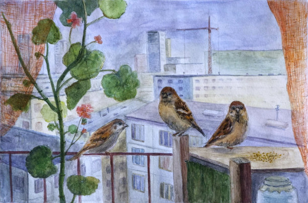 麻雀坐在阳台围栏上，画水彩画图片下载