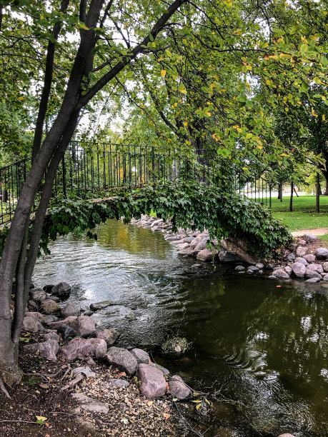 河上的小金属桥上覆盖着树叶图片下载