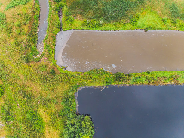 垃圾和水中光秃秃的树木的倒影。环境污染。水污染。图片下载