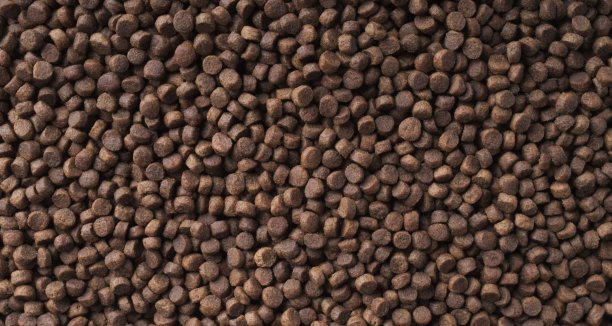 猫狗的干粮。宠物餐背景纹理。图片下载