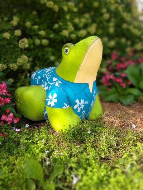 床上的青蛙图片下载