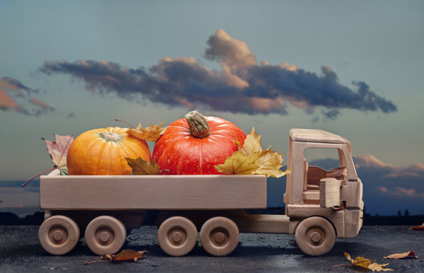 成熟的橙色圆形南瓜，玩具车后面放着干的加拿大枫树叶。图片下载