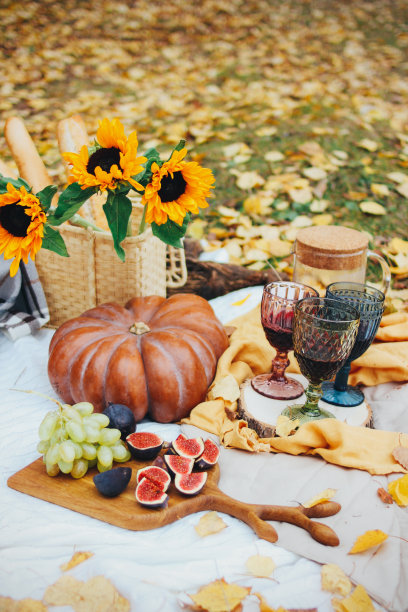 秋天的静物有南瓜，无花果和向日葵。在黄叶中野餐图片下载