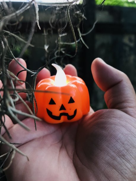 万圣节的南瓜图片下载