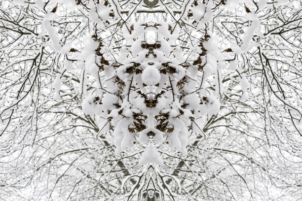 用雪和树装饰的镜像圣诞装饰图片下载