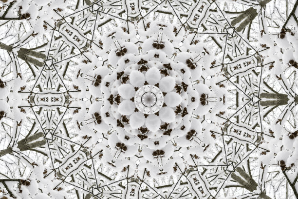 用雪和树装饰的镜像圣诞装饰图片下载