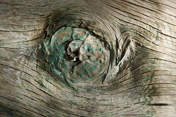 原木的质地木材的质地。图片下载