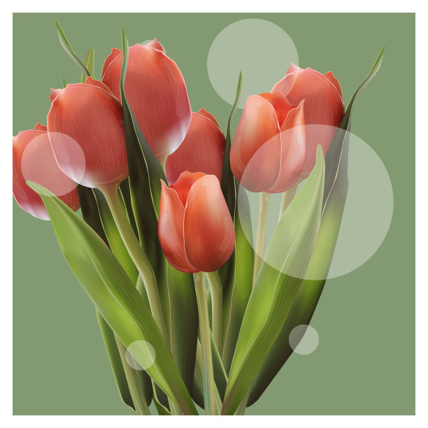 现实的郁金香花。郁金香在向量eps 10图片下载