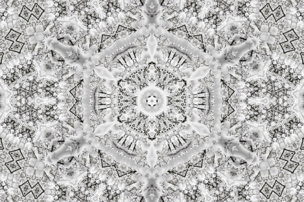 用雪和树装饰的镜像圣诞装饰图片下载