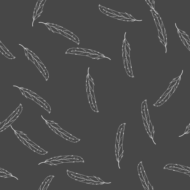 羽孤立向量无缝模式。天然羽毛。图片下载