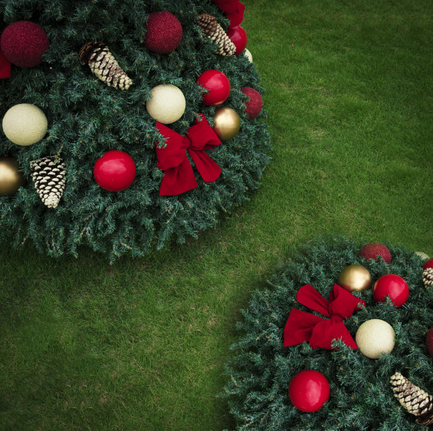 圣诞背景与圣诞树在草地上。图片下载