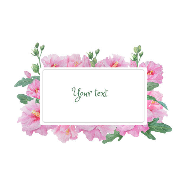 框架与花卉设计的邀请，问候。水彩花:粉红色锦葵。图片下载