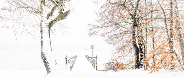 湖边的冬天图片下载