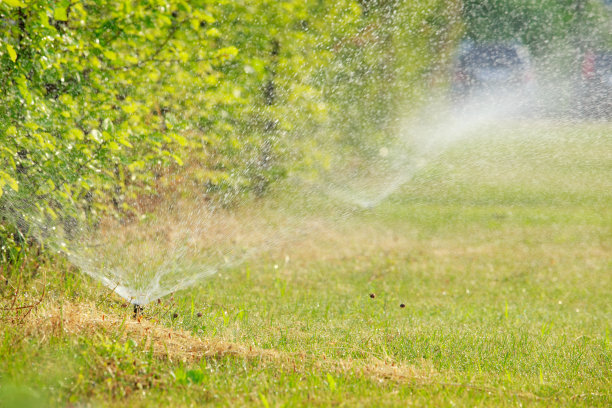自动草坪浇水图片下载