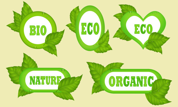 框架在露珠与树叶装饰卡片，贴纸，印刷品，纺织品设计。有机标志。自然products.organic食物。生态友好的标志图片下载