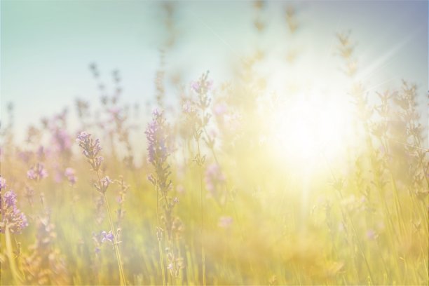 背景。图片下载