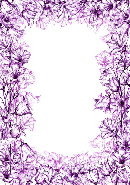 手绘花垂直矩形框架与图形风信子花在白色的背景图片下载