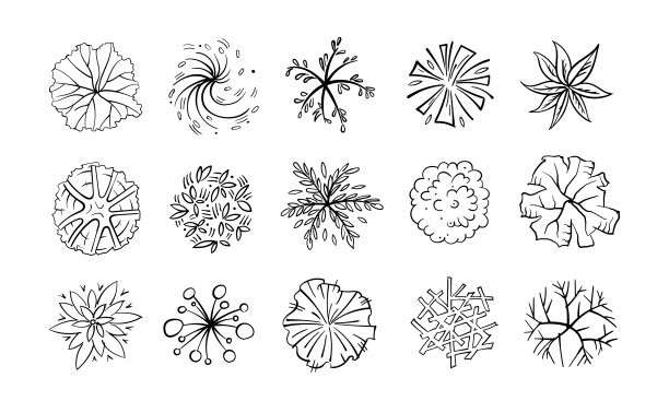 树木、灌木和灌木，俯视图为景观设计平面。矢量插图，孤立在白色背景上。黑白素描。图片下载