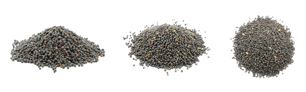 孤立在白色背景上的一组油菜籽。芥菜的种子。从不同角度拍摄的一组油菜籽。油菜籽分离上白色。图片下载