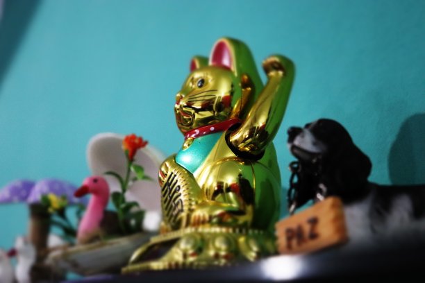 挥舞着猫图片下载