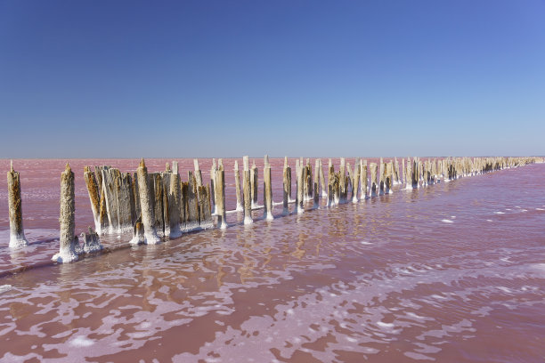 一个阳光明媚的日子里，克里米亚半岛西部靠近耶夫帕托里亚的美丽的粉红色的萨赛克西瓦什湖。一个长着盐的木坝的遗迹图片下载