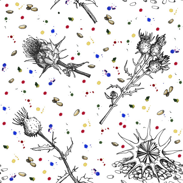 水彩和墨汁的乳蓟花无缝图案图片下载