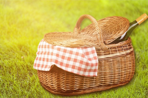 野餐。图片下载