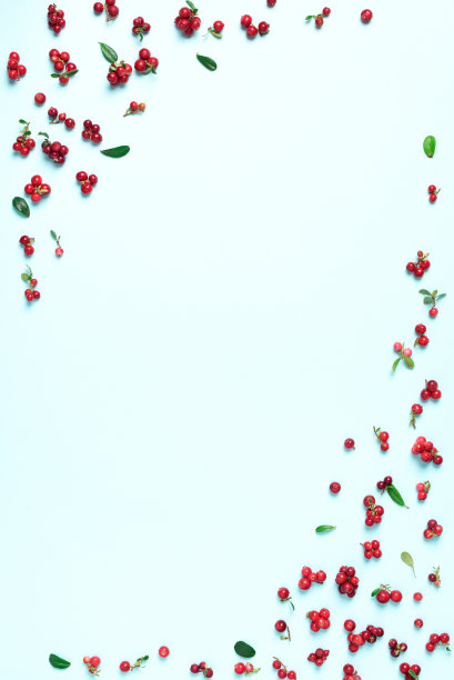 色彩鲜艳的图案由天然浆果在蓝色的背景。前视图。夏季红越橘图案图片下载