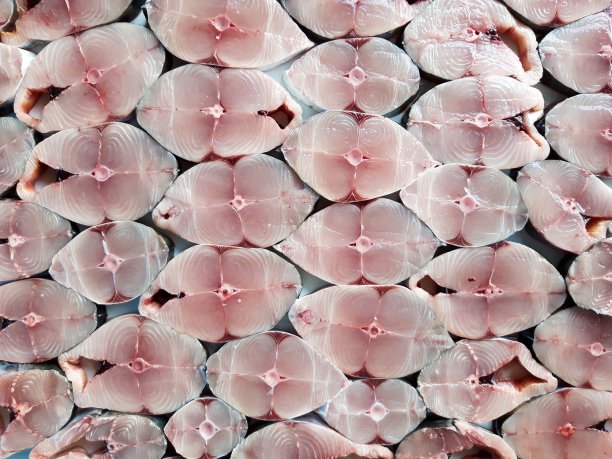 新鲜的鱼图片下载