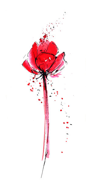 白底红花。手工水彩插图在抽象素描风格。图片下载