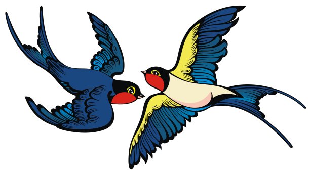 白底上的燕子图片下载