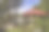 避暑胜地Belokurikha Altai Krai的森林里的避暑凉亭。图片下载