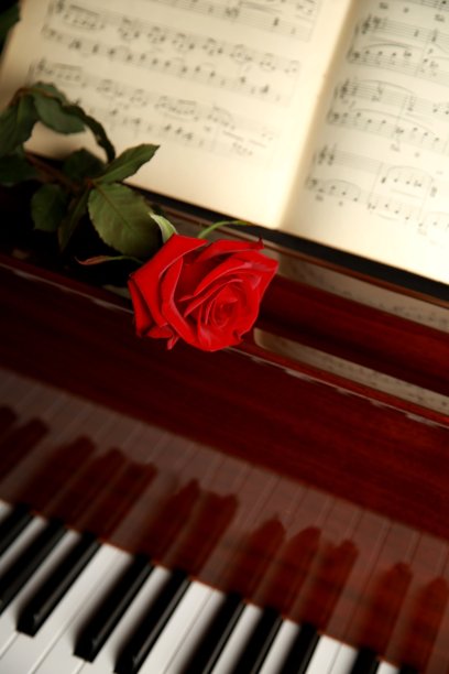 计划。图片下载