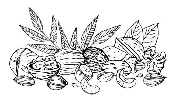 堆不同的坚果和叶子。核桃，榛子，杏仁，腰果。手绘矢量草图插图图片下载