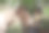 一个穿着牛仔装的男人和他的马图片下载