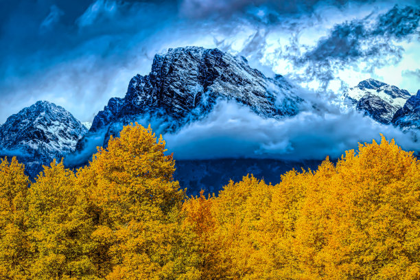 秋天的美丽图片下载