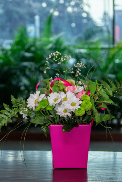 美丽的彩色花束与白色菊花和口水仙花图片下载