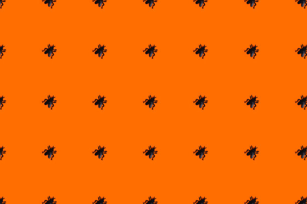 节日贺卡，万圣节恐怖故事。图片下载