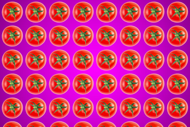 紫色背景上的红番茄的蔬菜图案。平躺，俯视图。食品的背景。图片下载