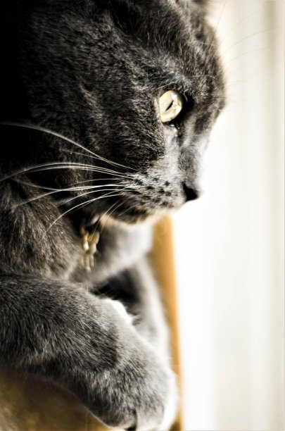 闲谈，聊天图片下载