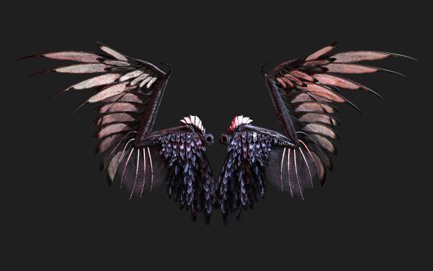 恶魔翅膀，黑色翅膀羽毛孤立与剪切路径。图片下载