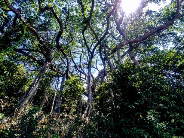 1000年的历史图片下载