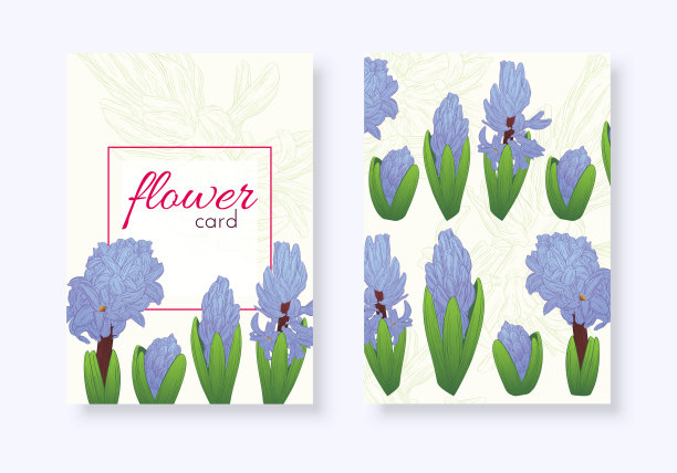一套花卡片。植物开花，枝用花墨写生。风信子。时尚印花横幅，包装，笔记本，请帖图片下载