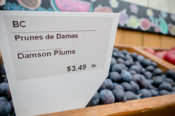 黑紫色的李子图片下载