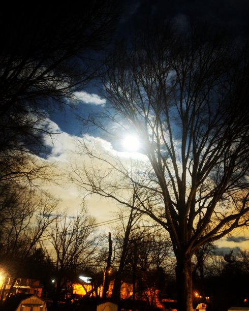 月亮照亮了黑暗的十二月图片下载