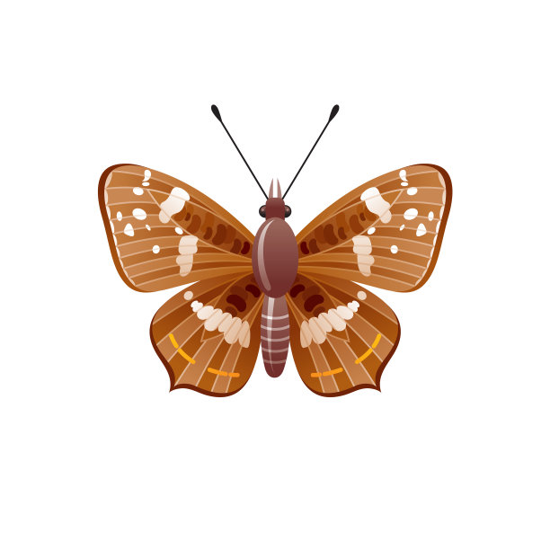 蝴蝶图标。三维逼真的蝴蝶昆虫与美丽的棕色观赏翅膀。动物标志设计，海报，t恤印花，横幅。矢量插图孤立在白色背景图片下载