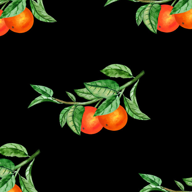 橙子在树枝上无缝的背景。水彩图案的柑橘叶，水果和花为设计的婚礼贺卡。图片下载