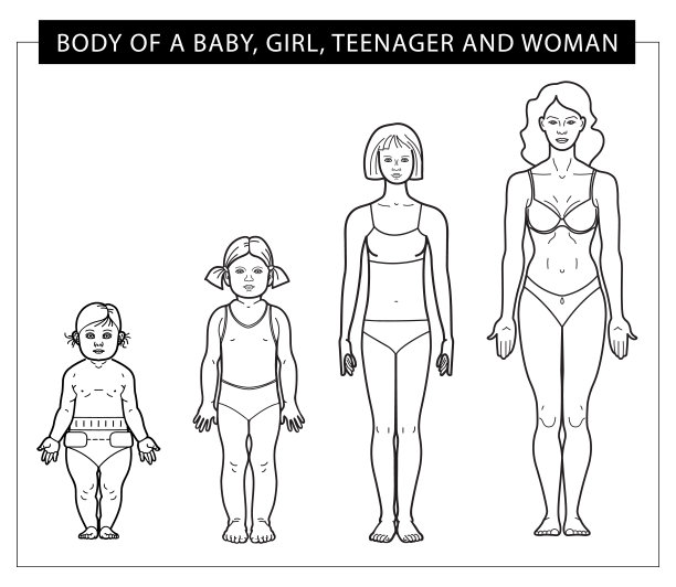 婴儿，女孩，青少年和妇女的身体图片下载